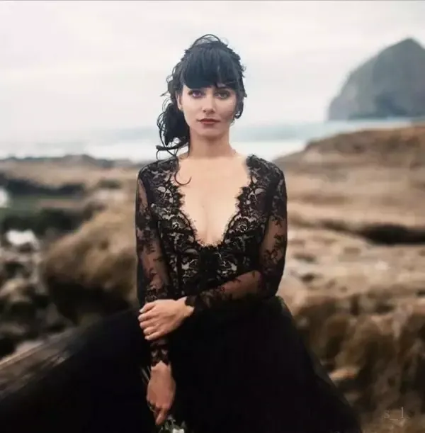 Anneprom Chic V neck Black Wedding Dress Lace Open Back Long Sleeve Wedding Dresses Bridal Gowns APW0383