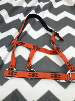BRAND NEW cob head collar FREE POSTAGE