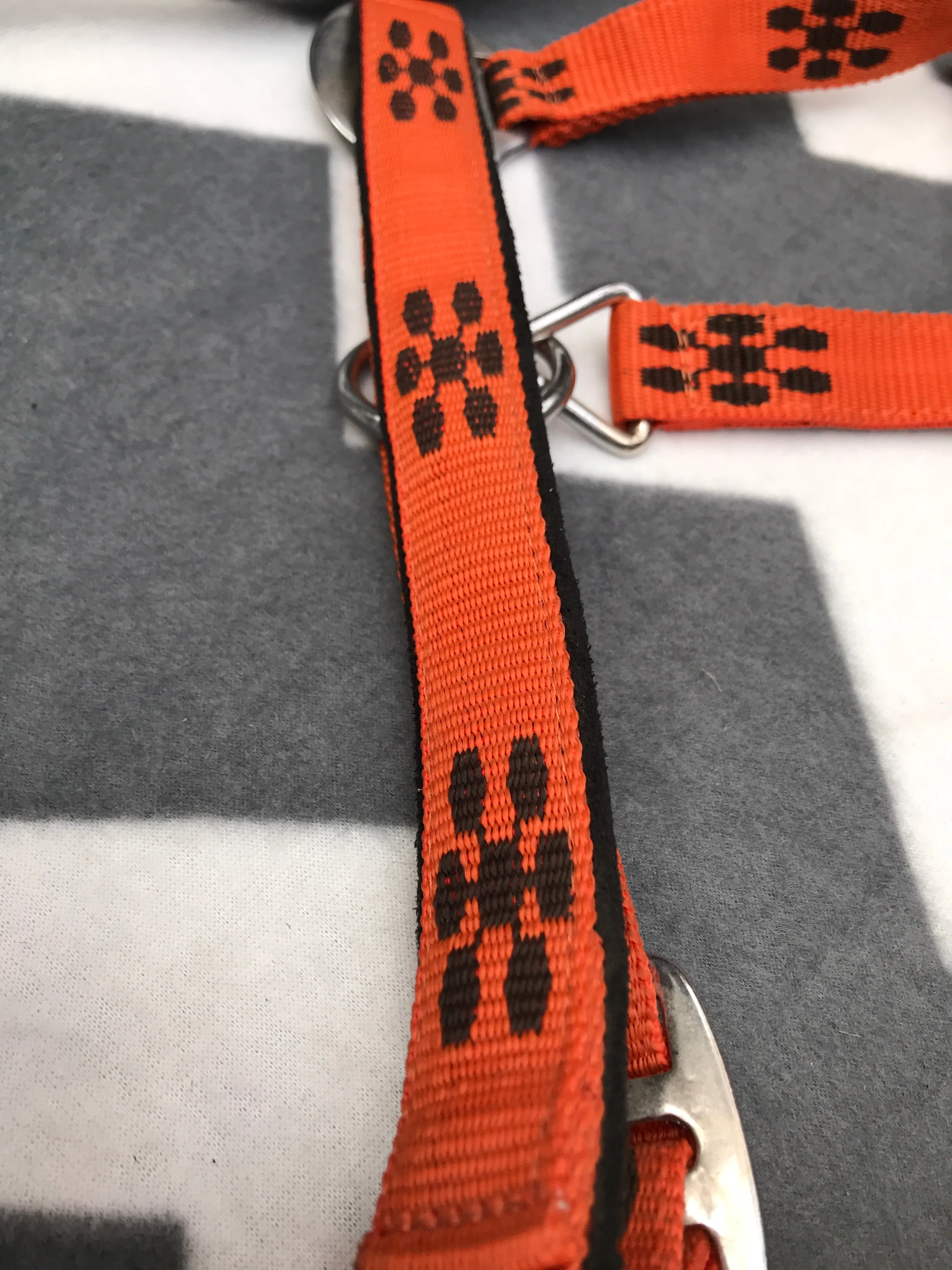 BRAND NEW cob head collar FREE POSTAGE