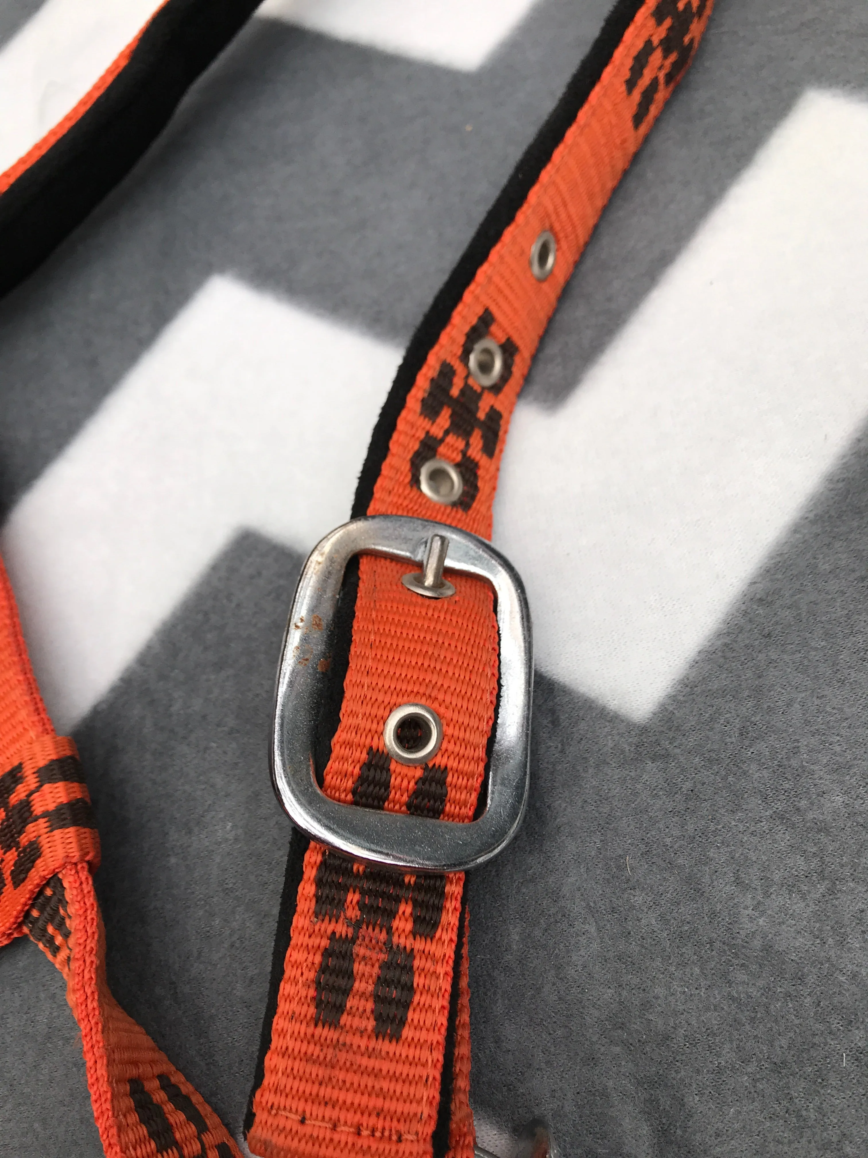BRAND NEW cob head collar FREE POSTAGE