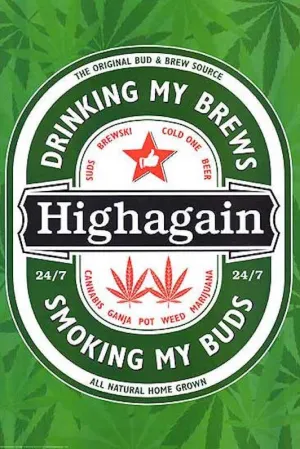 Highagain (24x36) - POT44818
