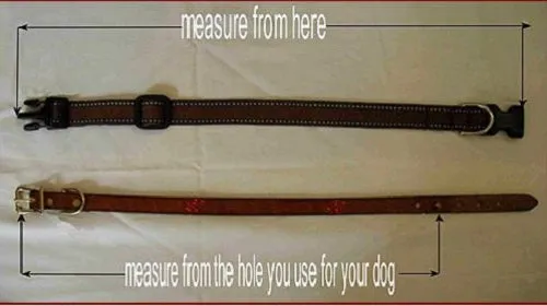 Parisian Pup Beaded Dog Collar