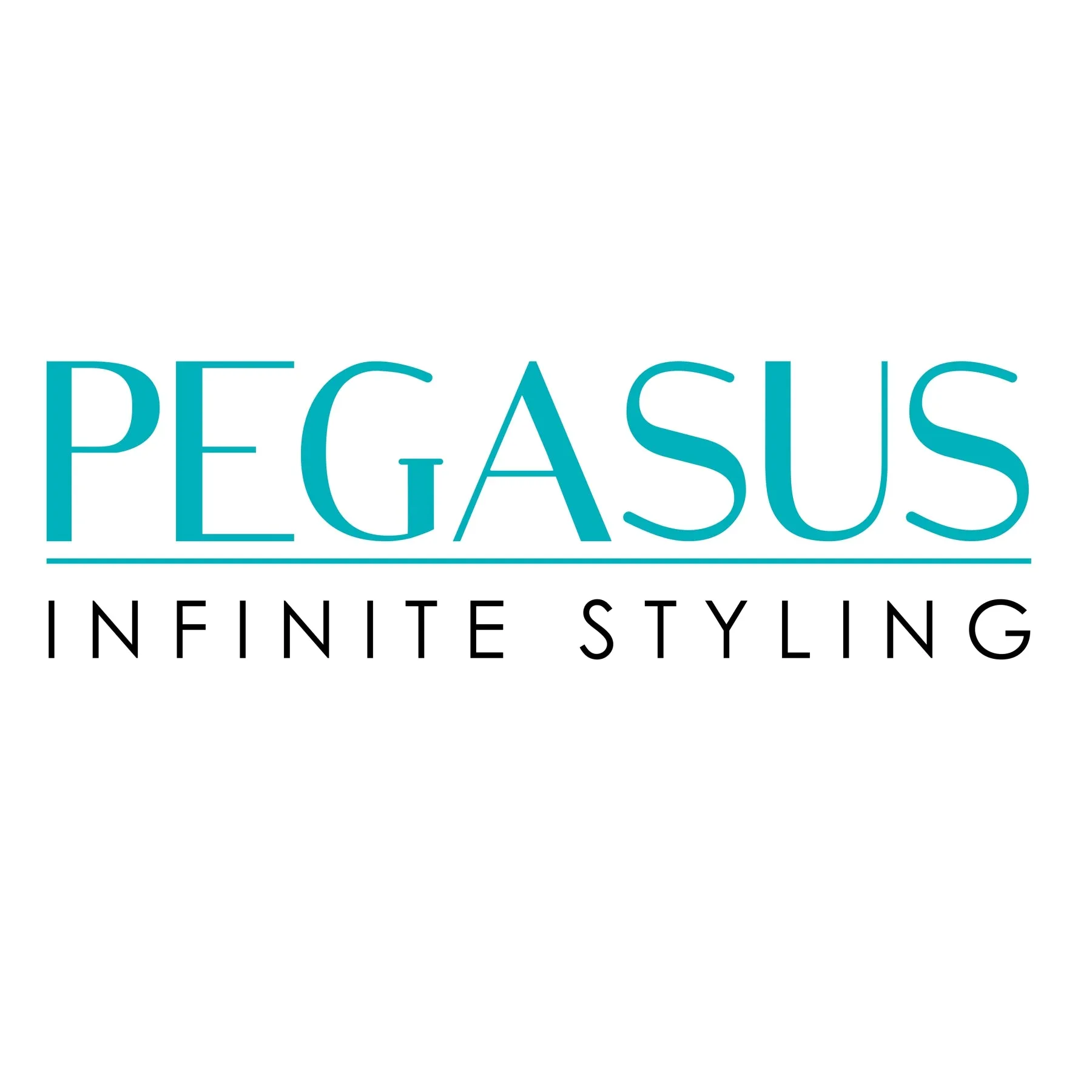 Pegasus 124, 8in Hard Rubber Rat Tail Tease Comb, Handmade, Seamless, Smooth Edges, Anti Static, Heat and Chemically Resistant, Great for Parting, Coloring Hair | Peines de goma dura - Black