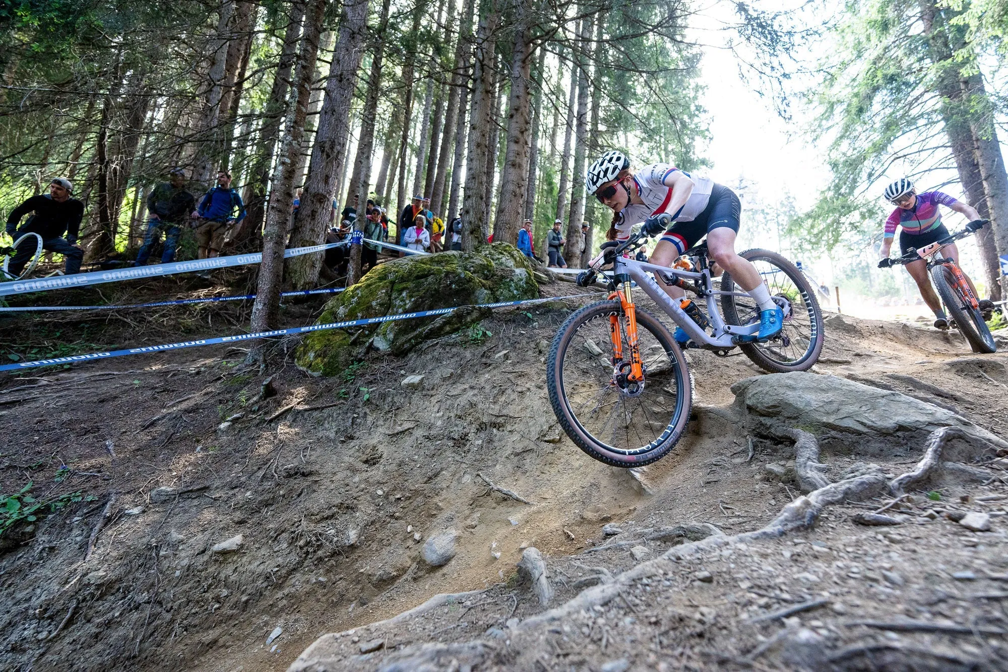 RE:NEW HUNT Proven Carbon Race XC 29 Wheelset