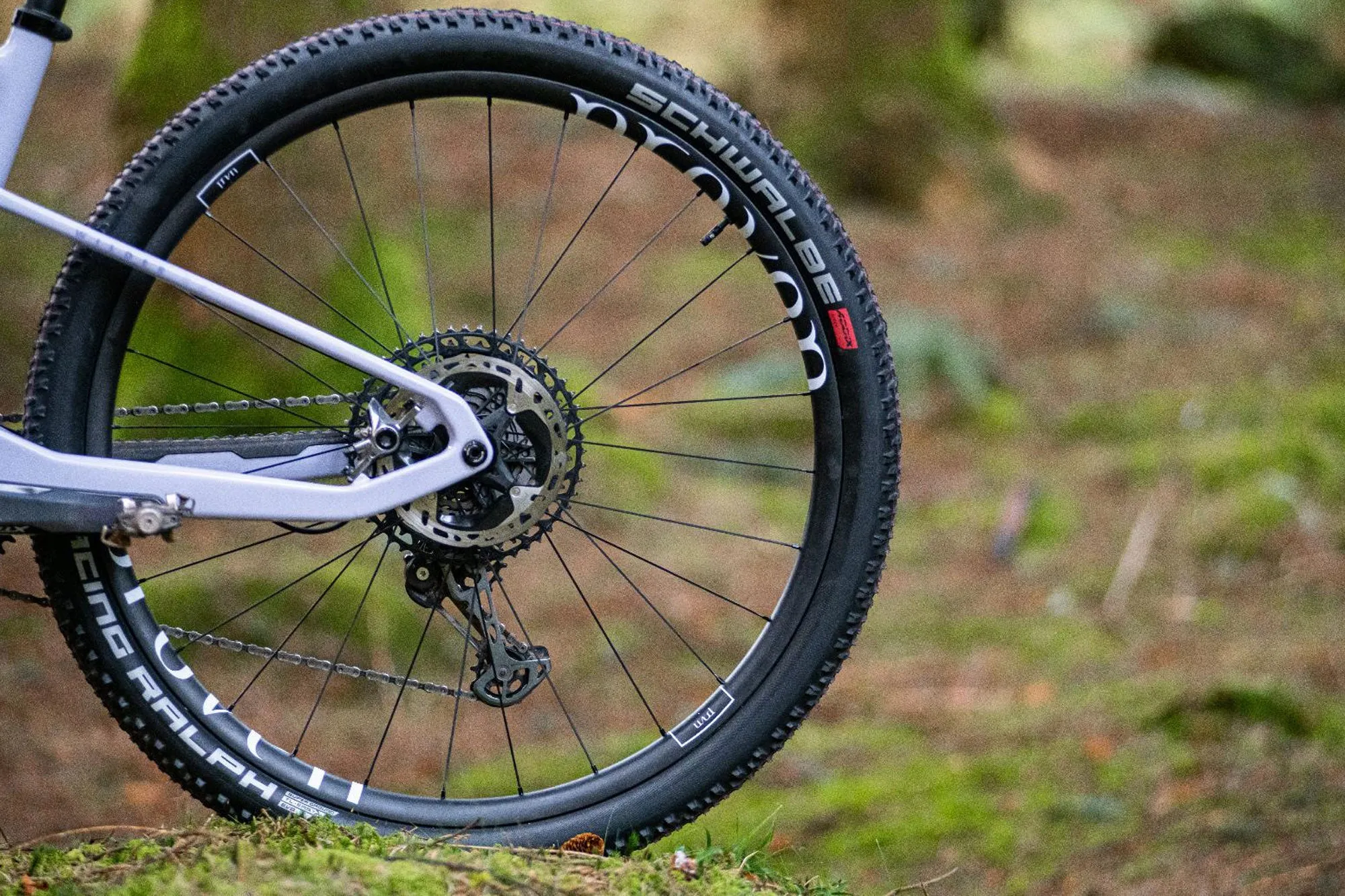RE:NEW HUNT Proven Carbon Race XC 29 Wheelset