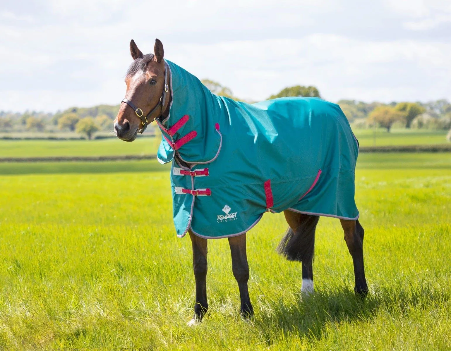 Shires Tempest Original Air Motion Combo Rug